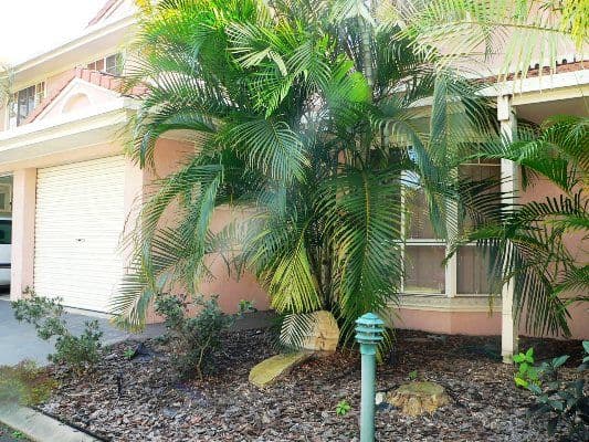 99  Larbert Street, ACACIA RIDGE QLD 4110, Acacia Ridge - Thumbnail 6