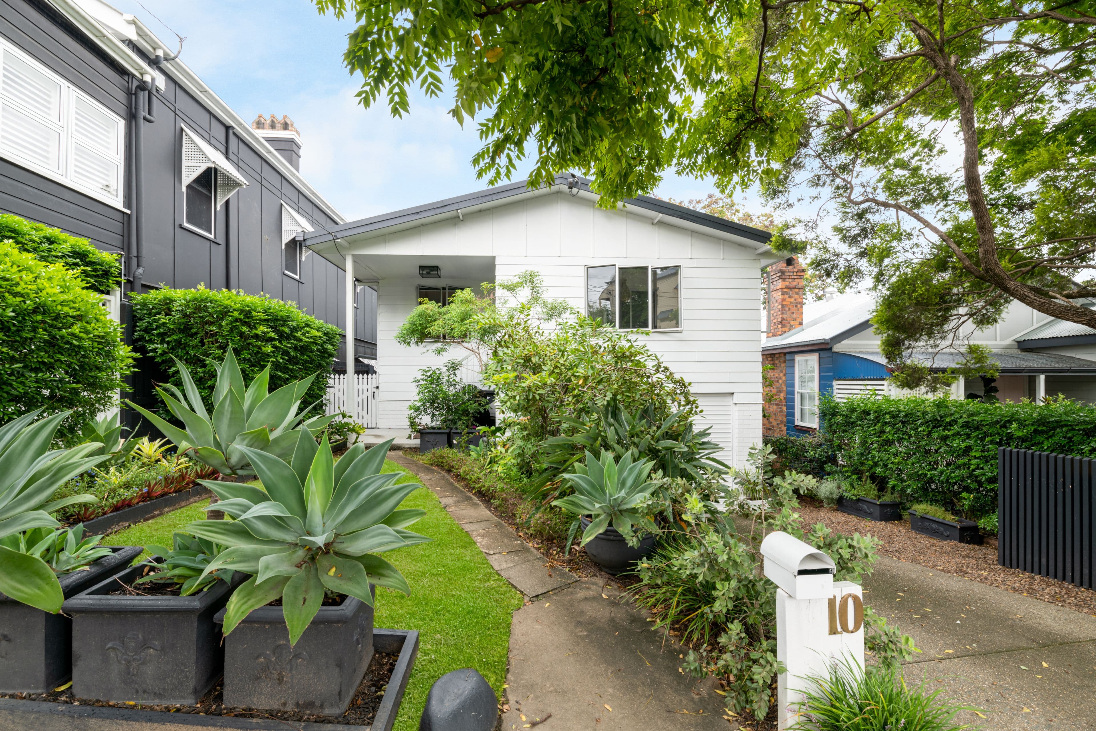 10 Terrace Street, Paddington QLD 4064, Paddington - Thumbnail 3