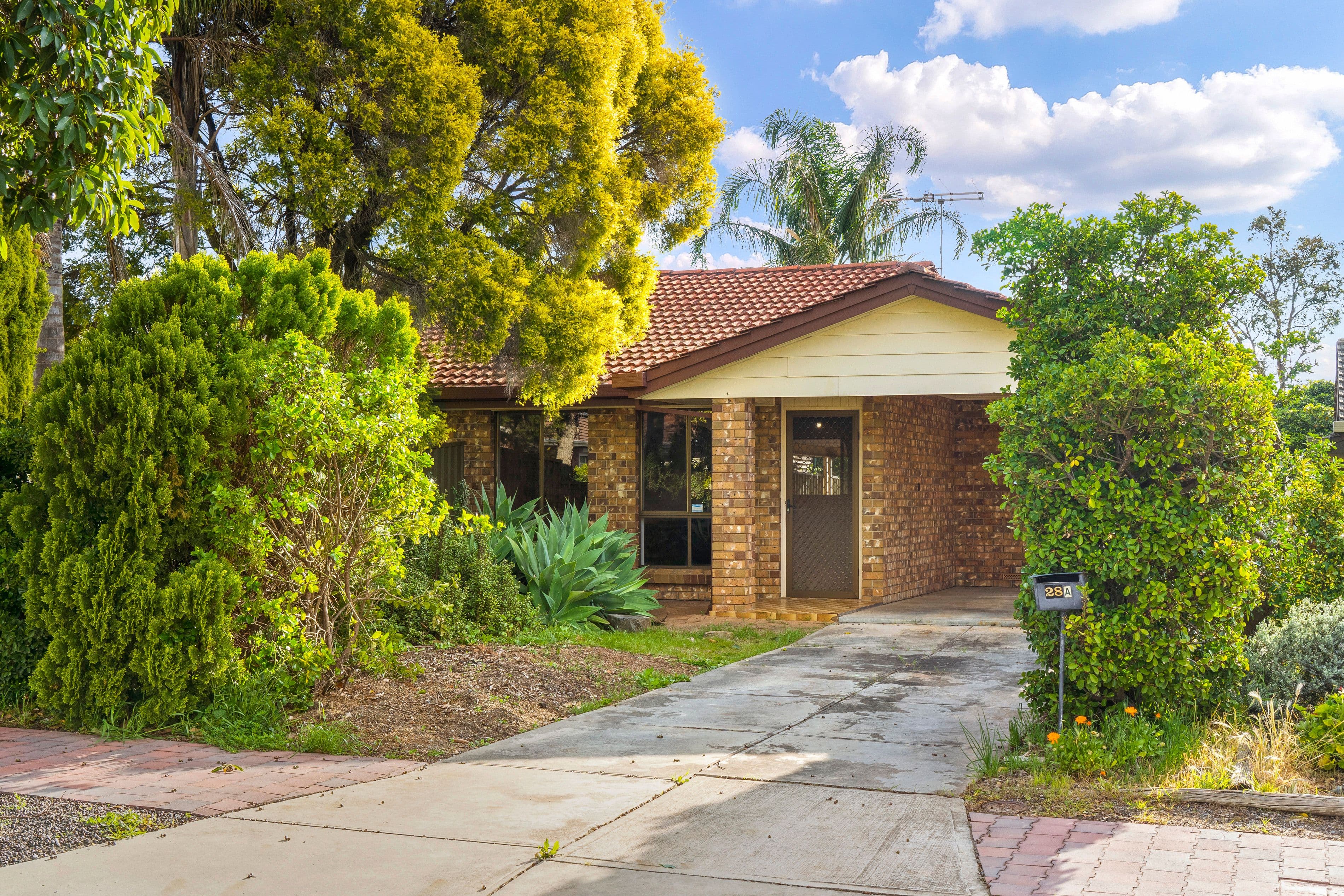 28A Avenue Road, Paradise SA 5075, Paradise - Image 1