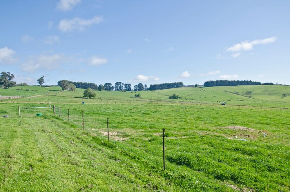 130  South Winkleigh Road, WINKLEIGH TAS 7275, Winkleigh - Thumbnail 7