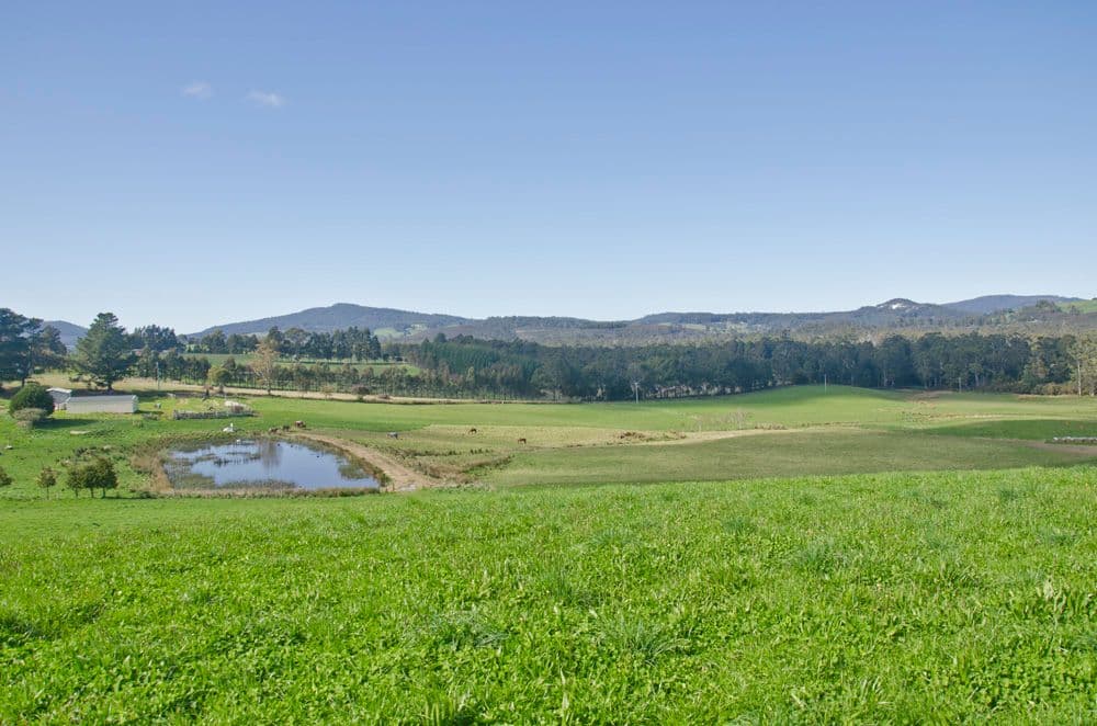 130  South Winkleigh Road, WINKLEIGH TAS 7275, Winkleigh - Thumbnail 8