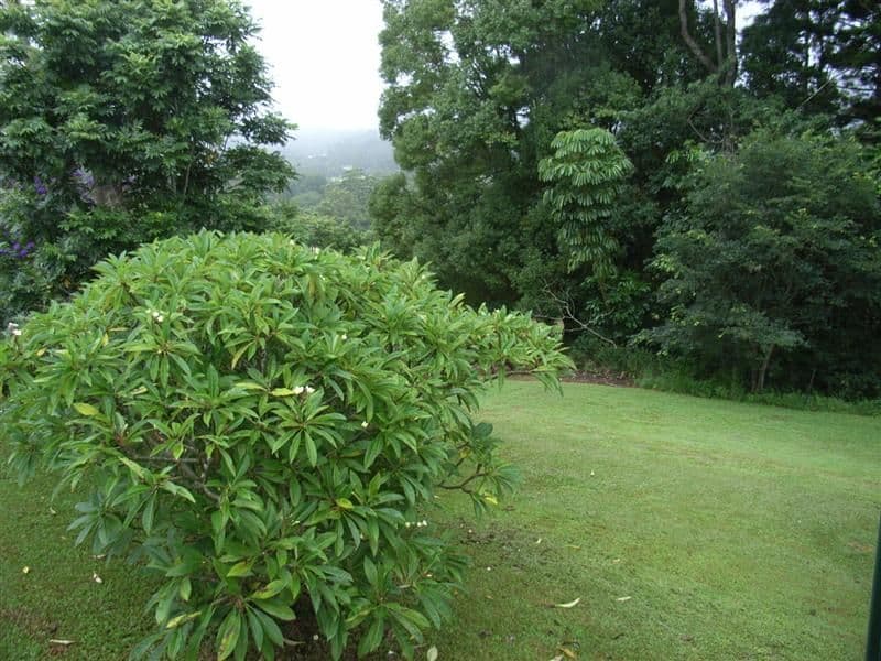 ROSEMOUNT QLD 4560, Rosemount - Thumbnail 7