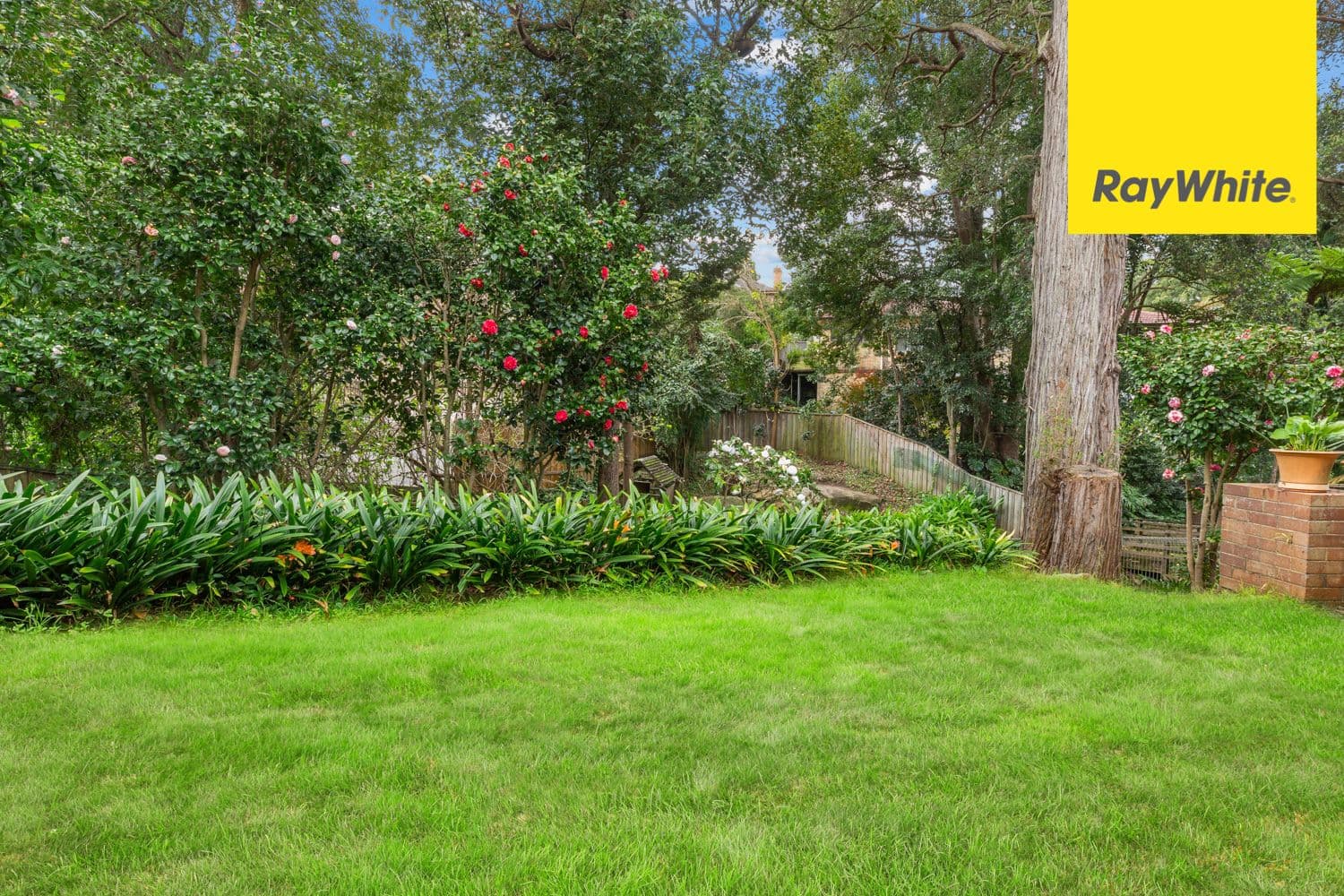 25 Knox Avenue, Epping NSW 2121, Epping - Thumbnail 4