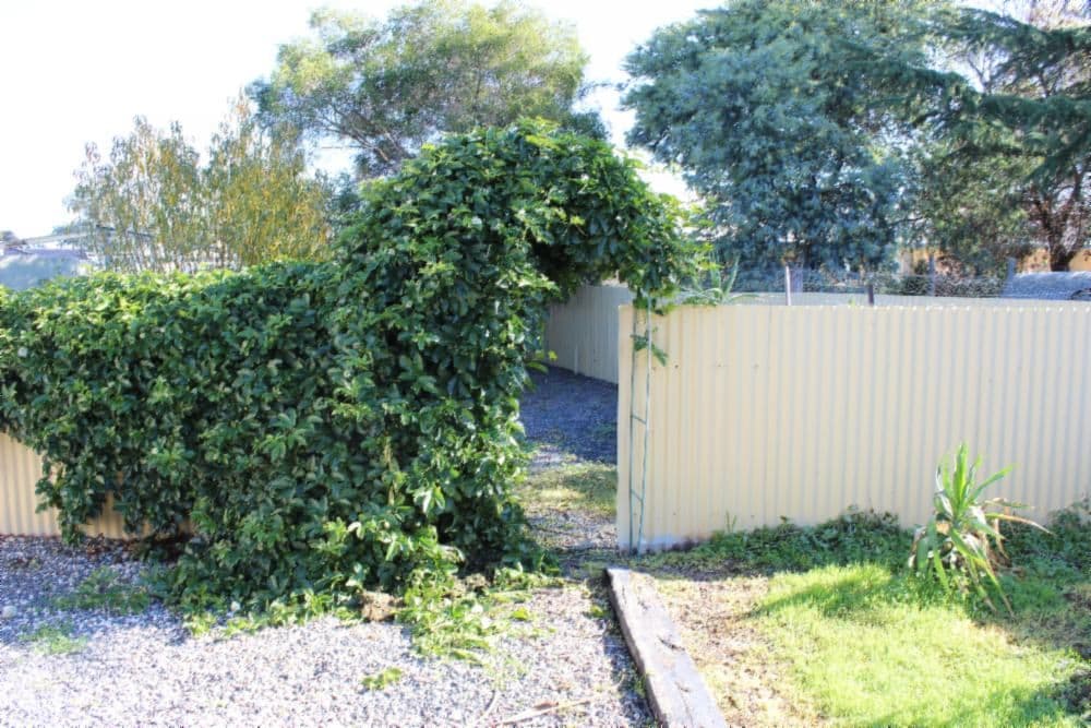 5 Thomas Place, CULCAIRN NSW 2660, Culcairn - Thumbnail 2