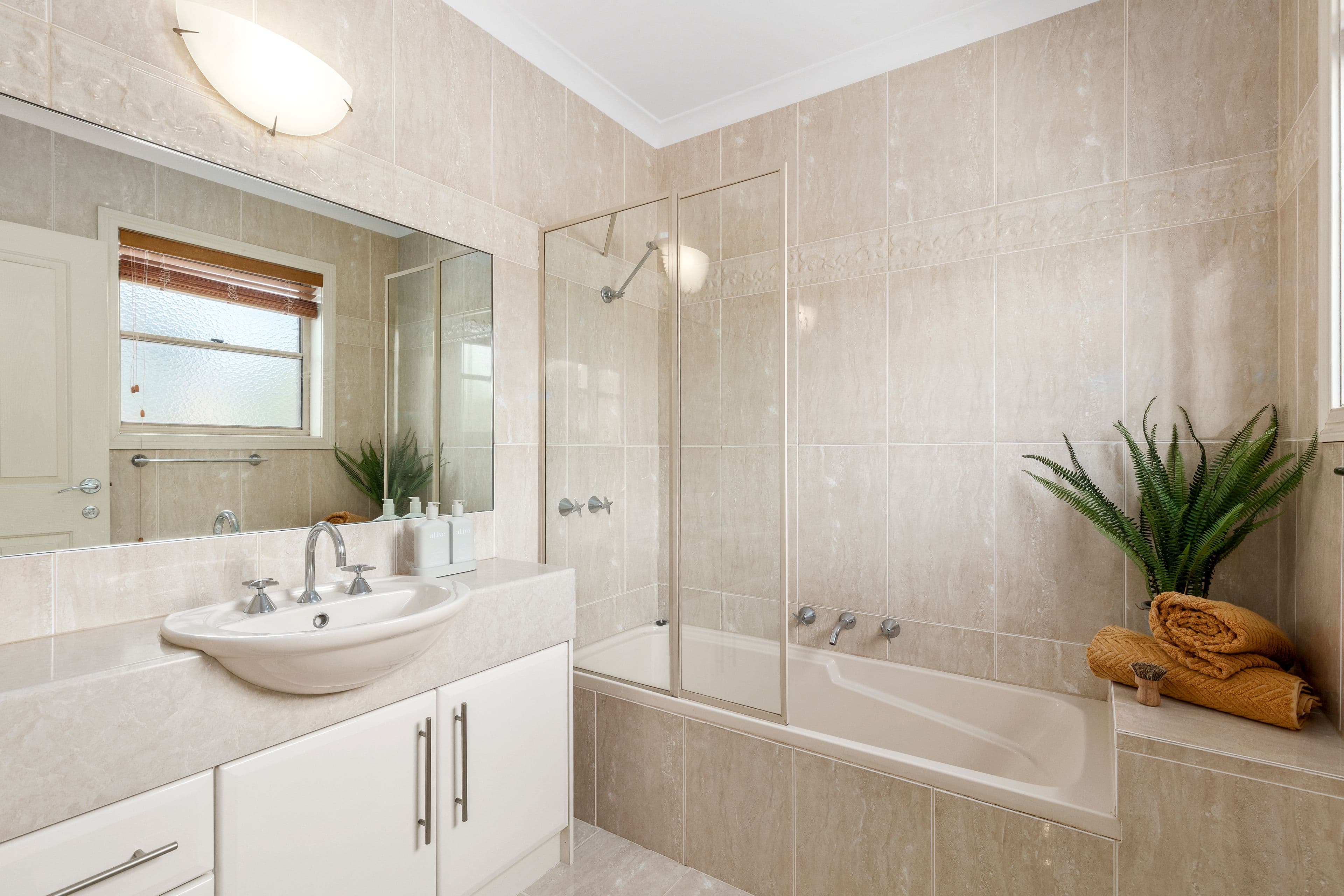 38 William Street, Newtown VIC 3220, Newtown - Thumbnail 8