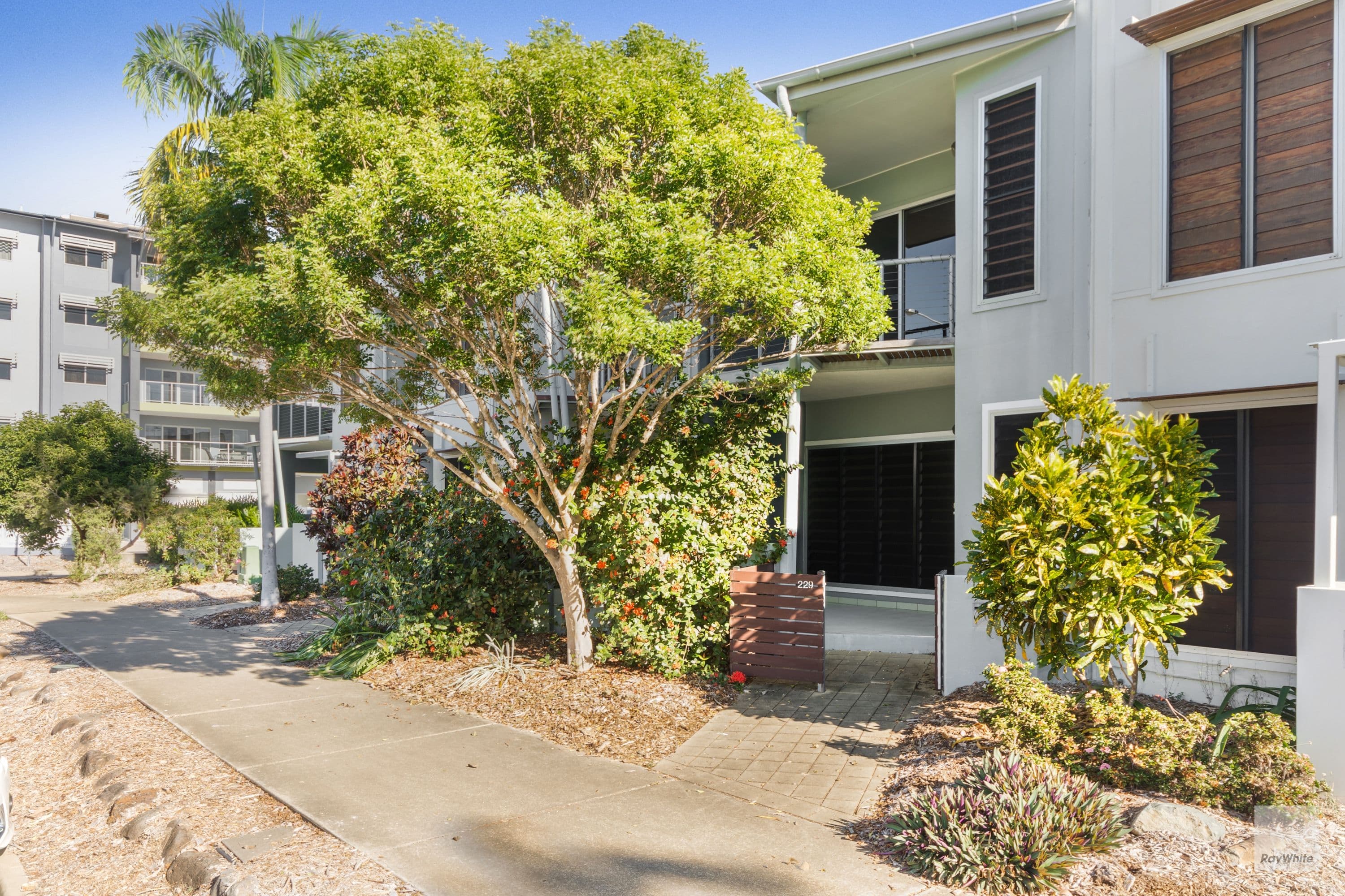229 Riverside Boulevard, Douglas QLD 4814, Douglas - Thumbnail 8