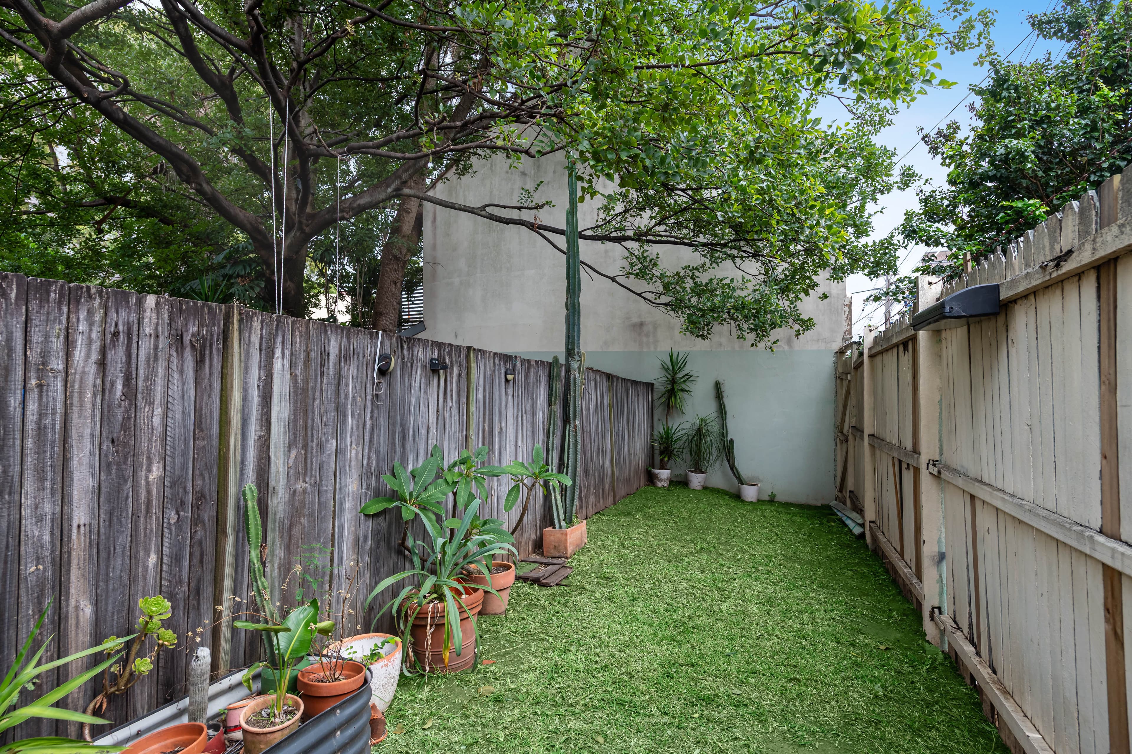 44 Pidcock Street, Camperdown NSW 2050, Camperdown - Thumbnail 8