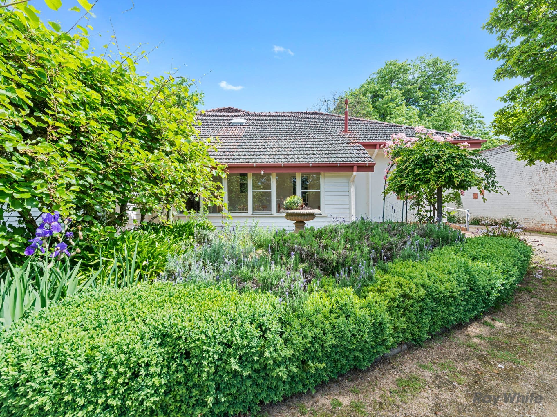 13 Benson Street, Benalla VIC 3672, Benalla - Thumbnail 2