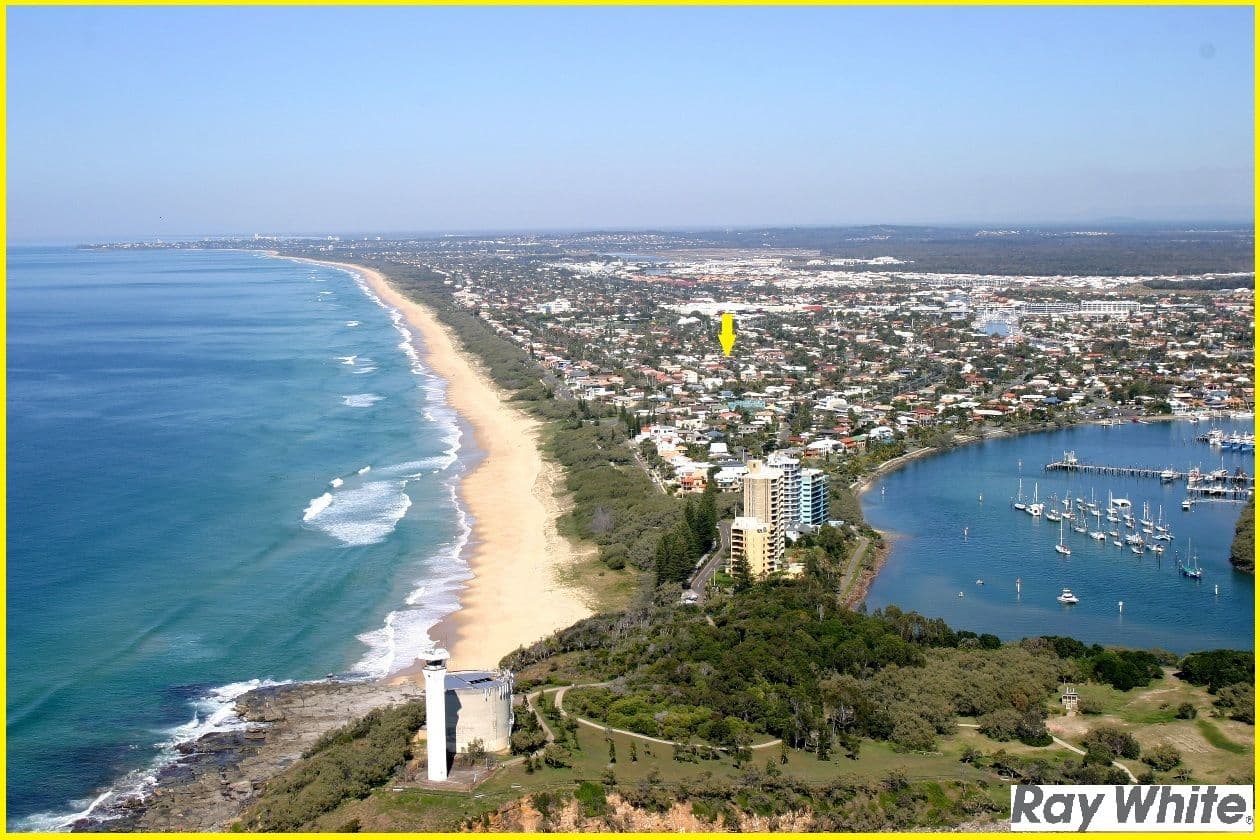 19 Pannaroo Street, BUDDINA QLD 4575, Buddina - Thumbnail 5