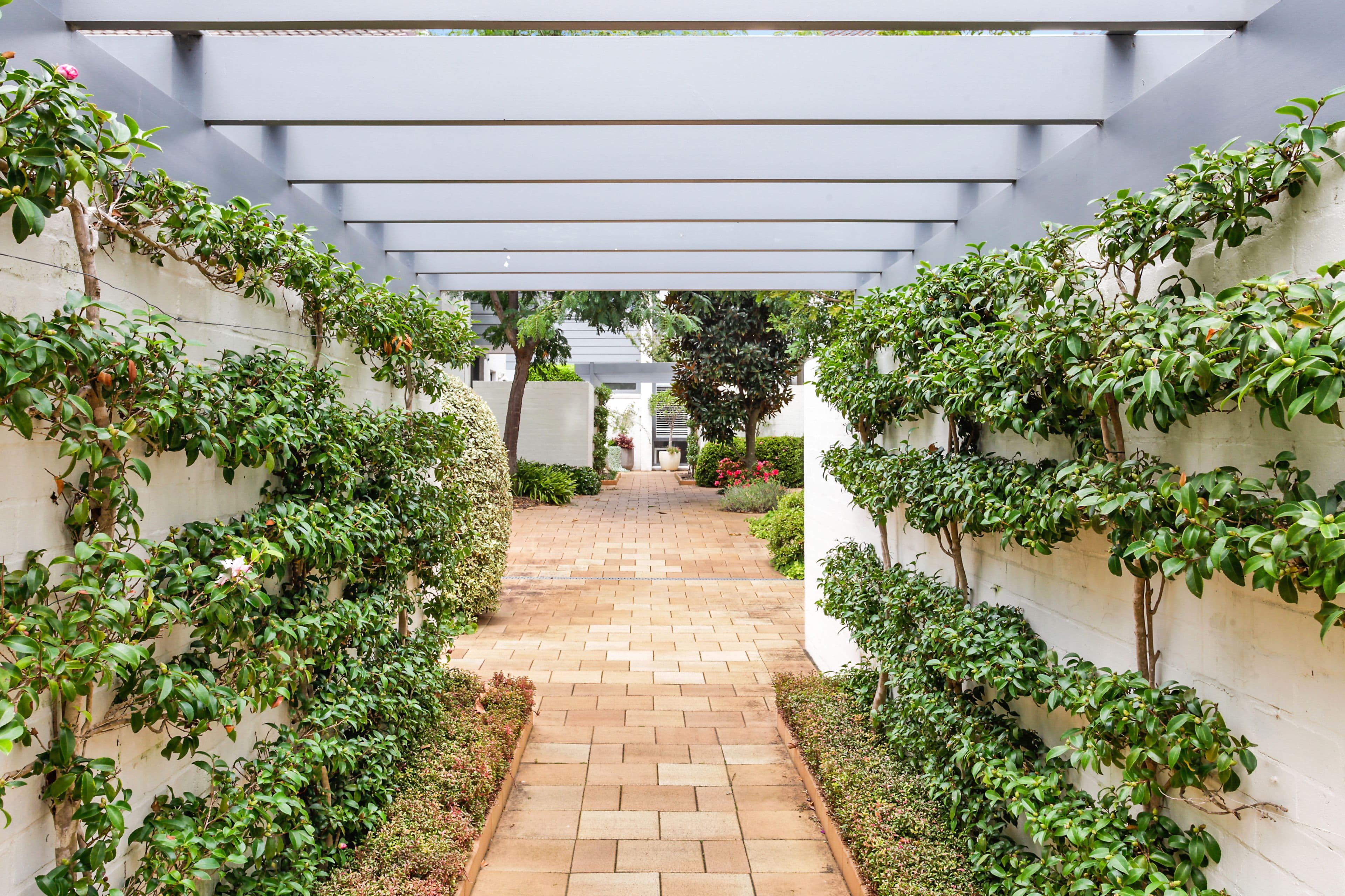 17 Albert Street, Edgecliff NSW 2027, Edgecliff - Thumbnail 7