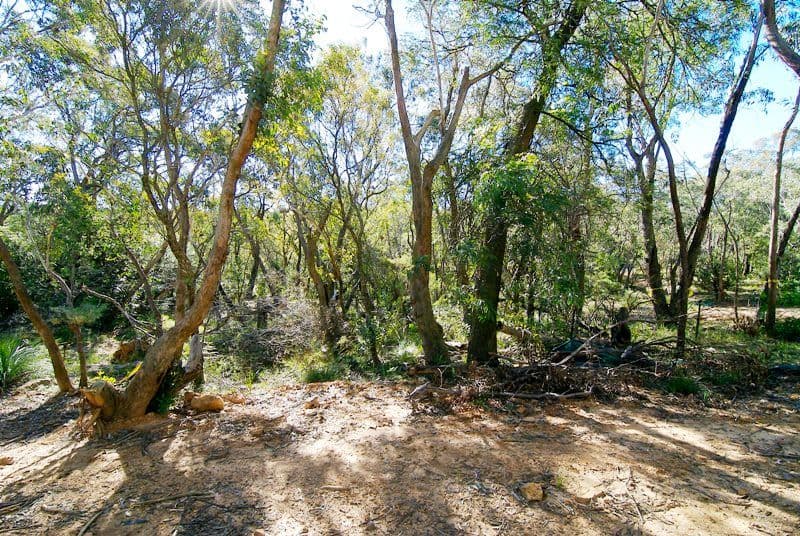 Lot 22 The Links Road, LEURA NSW 2780, Leura - Image 1