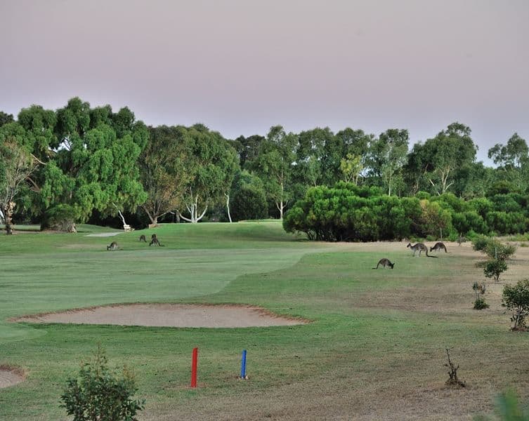 15 Birdie Court, COOLOONGUP WA 6168, Cooloongup - Thumbnail 4