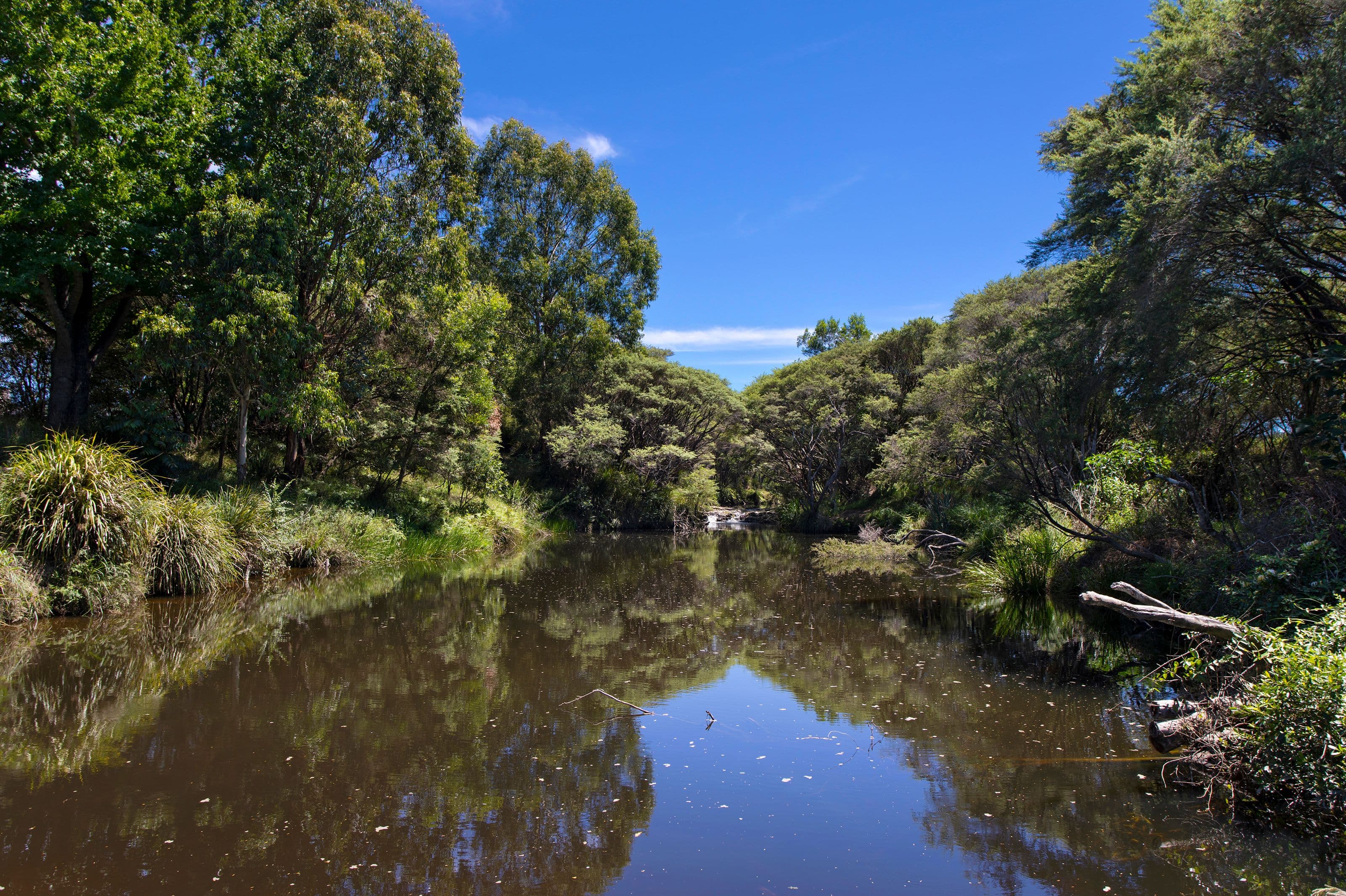 2 Stanley Street, Lowanna NSW 2450, Lowanna - Thumbnail 6