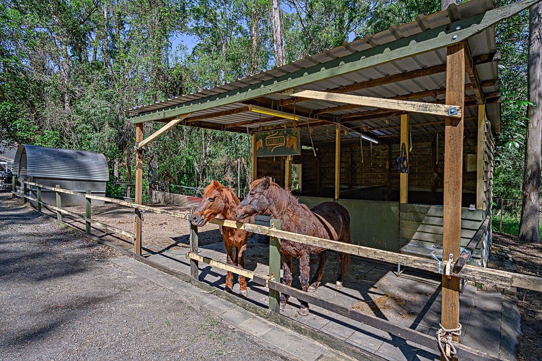 25 Beech Drive, Cashmere QLD 4500, Cashmere - Thumbnail 8