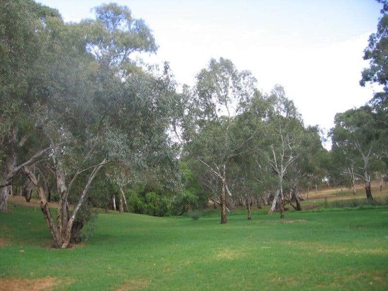 39 Riverside Drive, FELIXSTOW SA 5070, Felixstow - Thumbnail 3