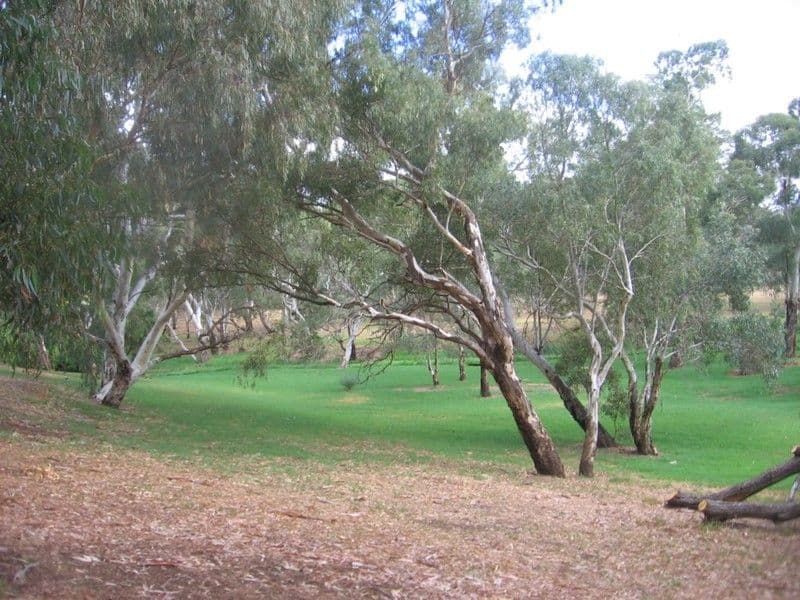 39 Riverside Drive, FELIXSTOW SA 5070, Felixstow - Thumbnail 4