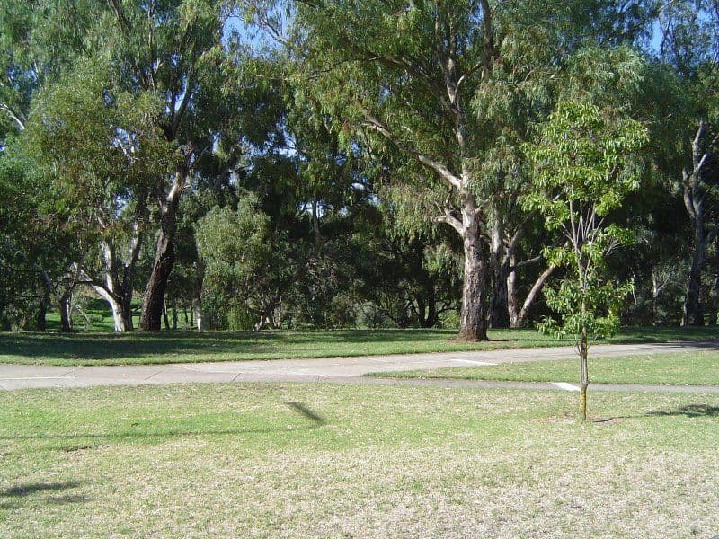 39 Riverside Drive, FELIXSTOW SA 5070, Felixstow - Thumbnail 5