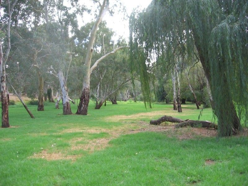 39 Riverside Drive, FELIXSTOW SA 5070, Felixstow - Thumbnail 6