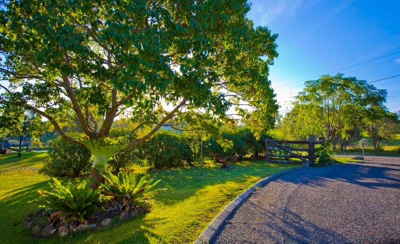 39 Wade Street, DUNGOG NSW 2420, Dungog - Thumbnail 2