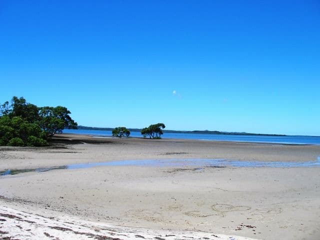 24 Boat Street, VICTORIA POINT QLD 4165, Victoria Point - Thumbnail 4