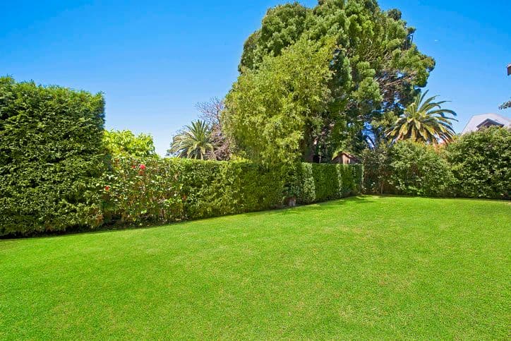 3 Clarendon Street, VAUCLUSE NSW 2030, Vaucluse - Thumbnail 3