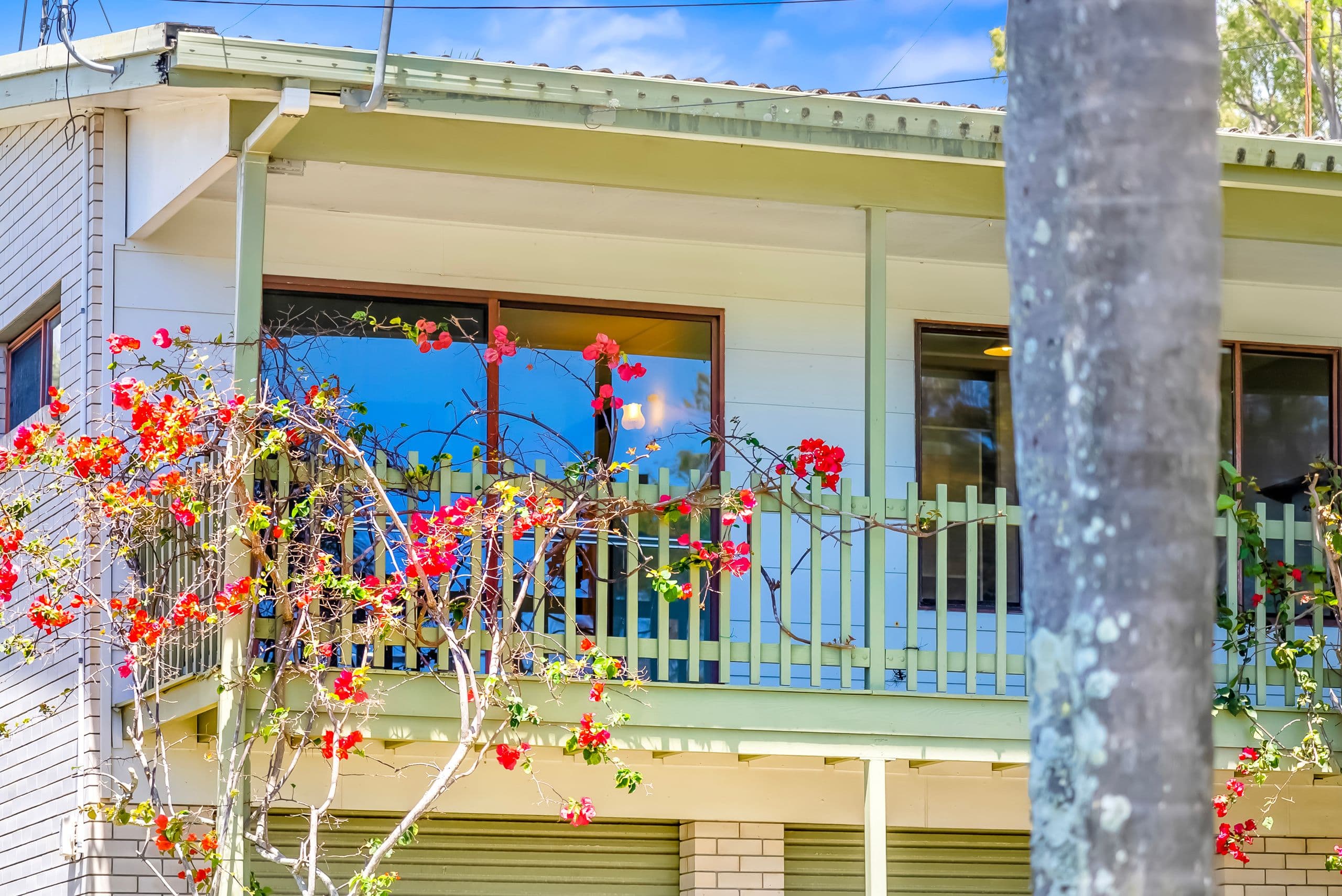 4 Cabarita Court, Tugun QLD 4224, Tugun - Thumbnail 3