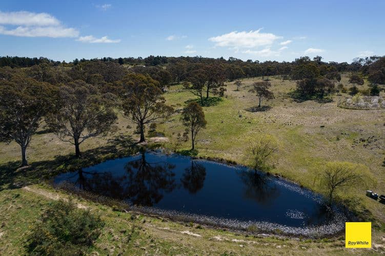 419 Weeroona Drive, WAMBOIN NSW 2620, Wamboin - Thumbnail 4