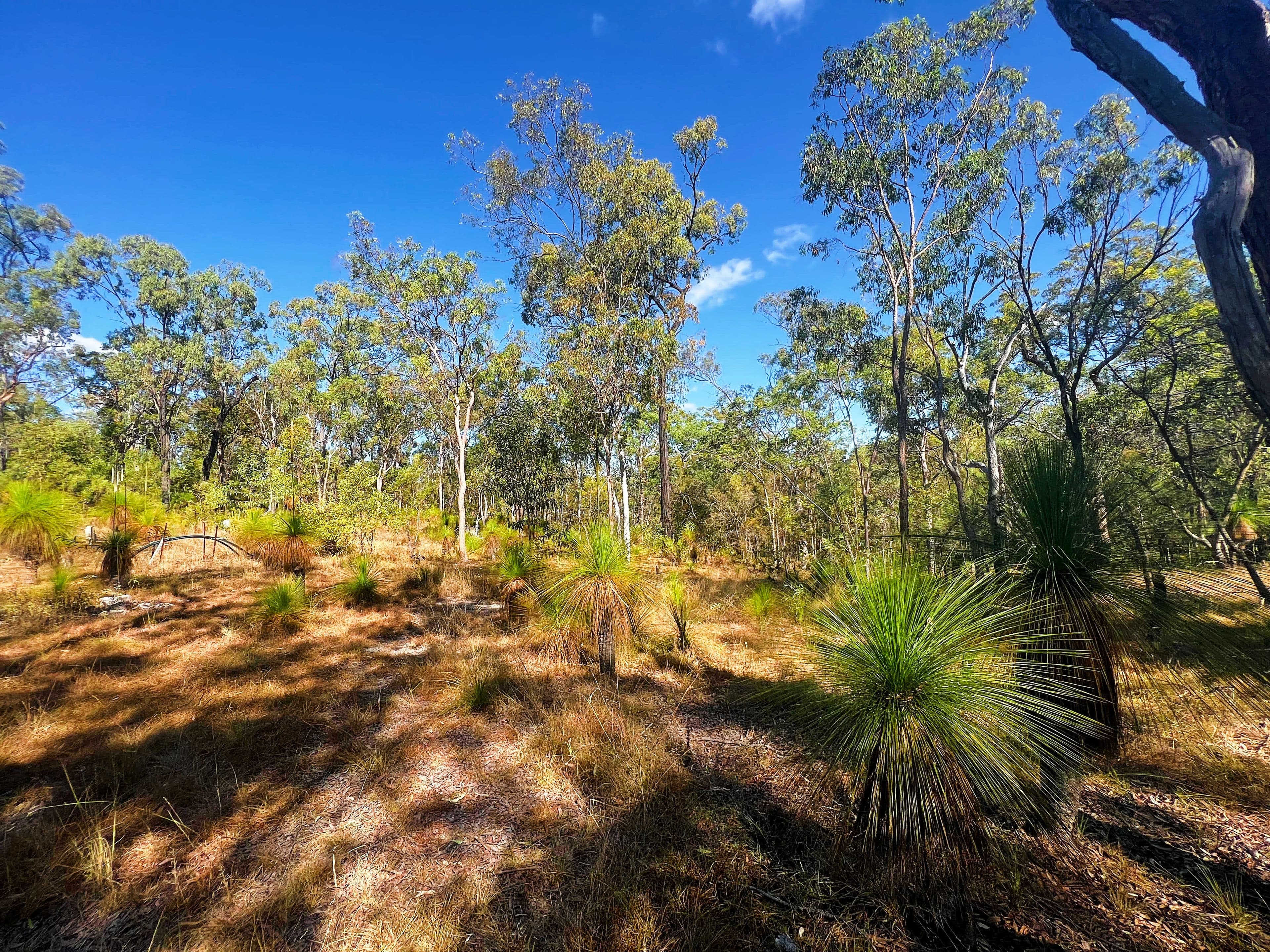 282 Michelles Road, Horse Camp QLD 4671, Horse Camp - Thumbnail 2