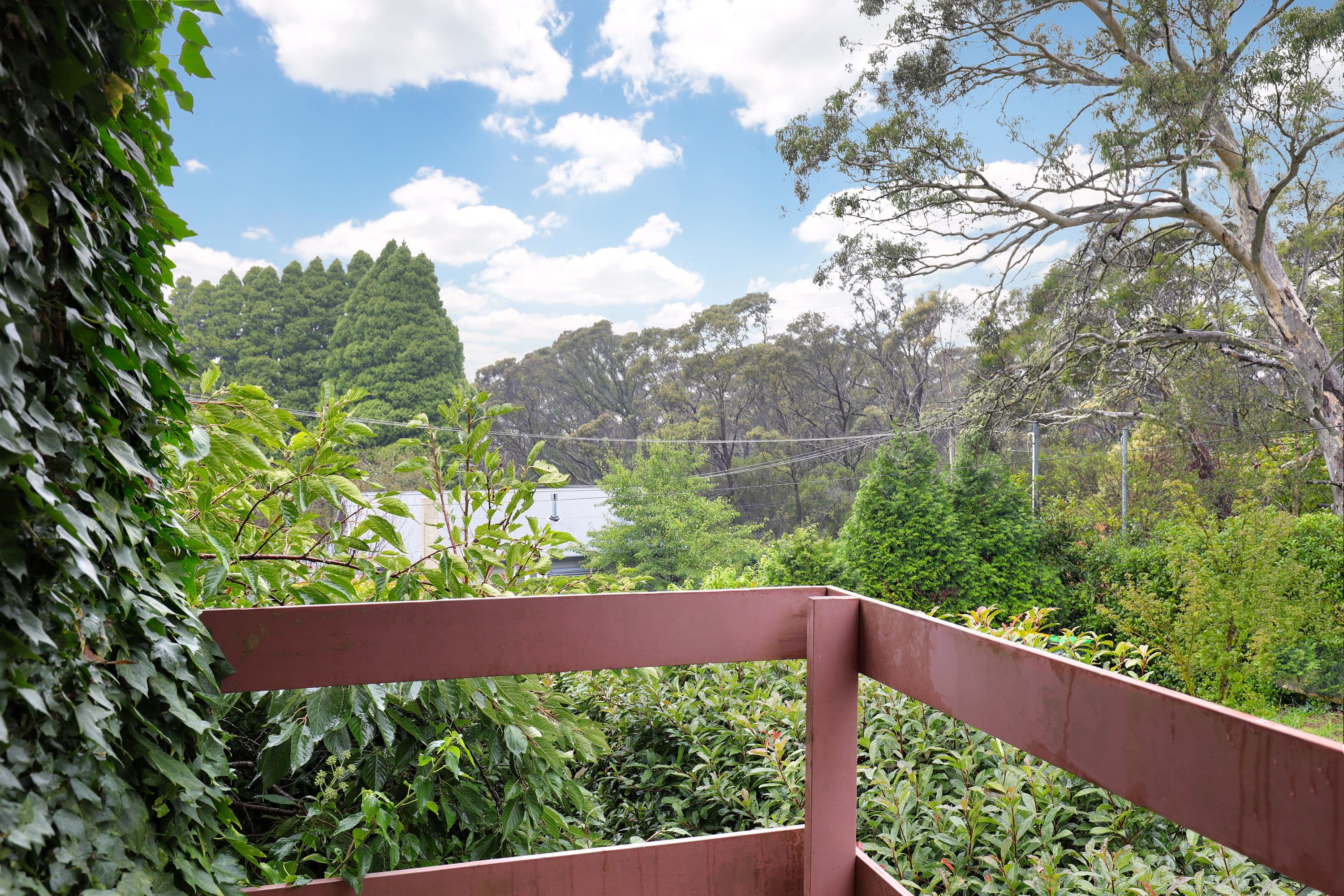 6 Kirkwood Street, Blackheath NSW 2785, Blackheath - Thumbnail 8