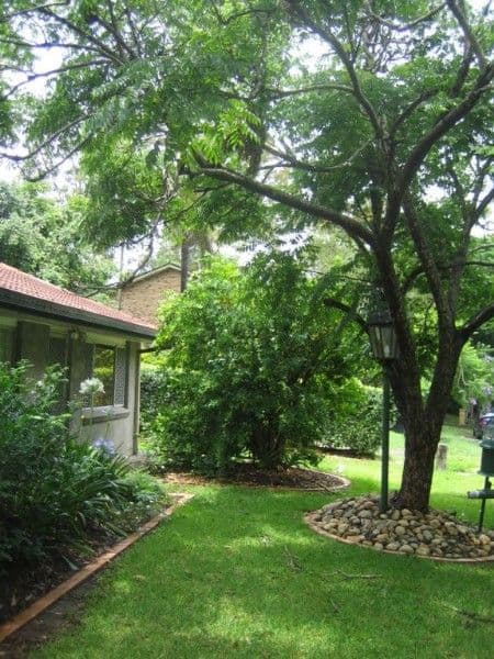 23 Halimah Street, CHAPEL HILL QLD 4069, Chapel Hill - Thumbnail 3