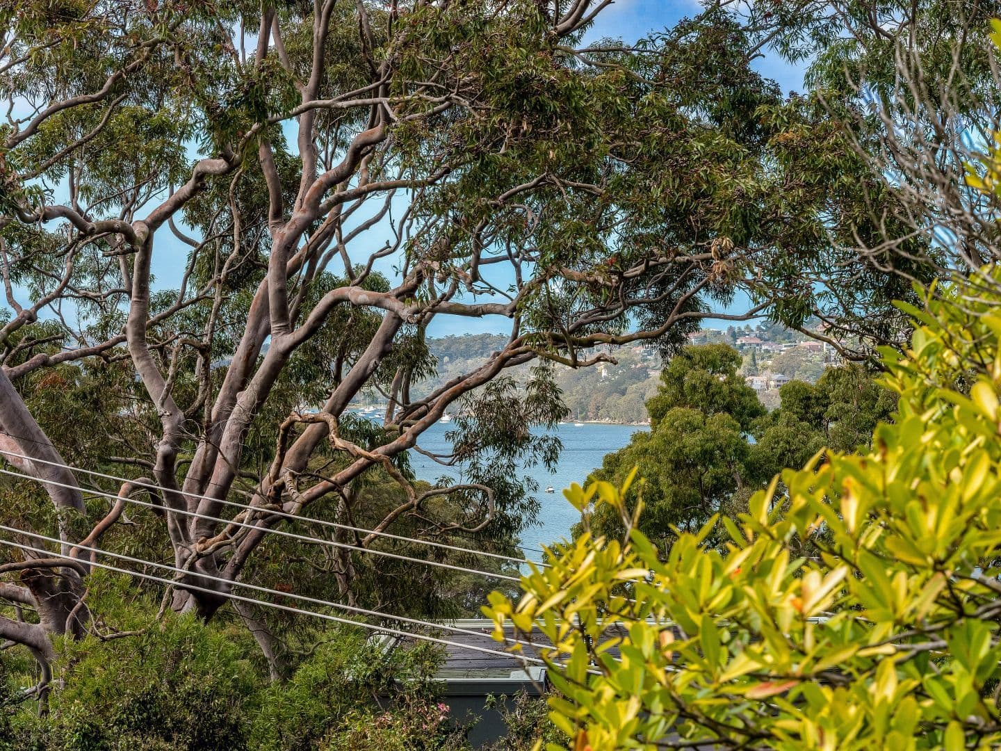 2 The Scarp, Castlecrag NSW 2068, Castlecrag - Thumbnail 2