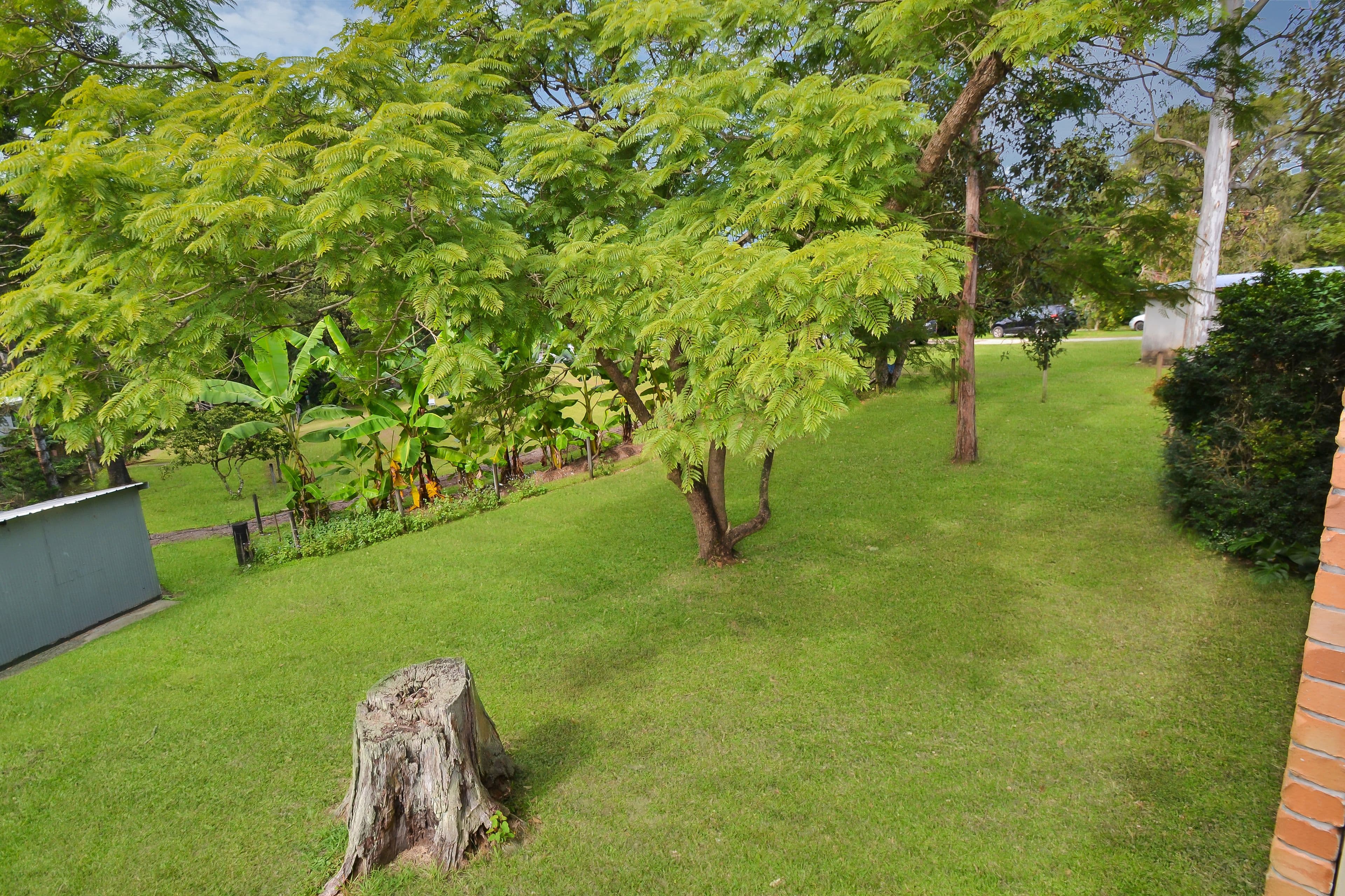3 Mellum Street, Landsborough QLD 4550, Landsborough - Thumbnail 8