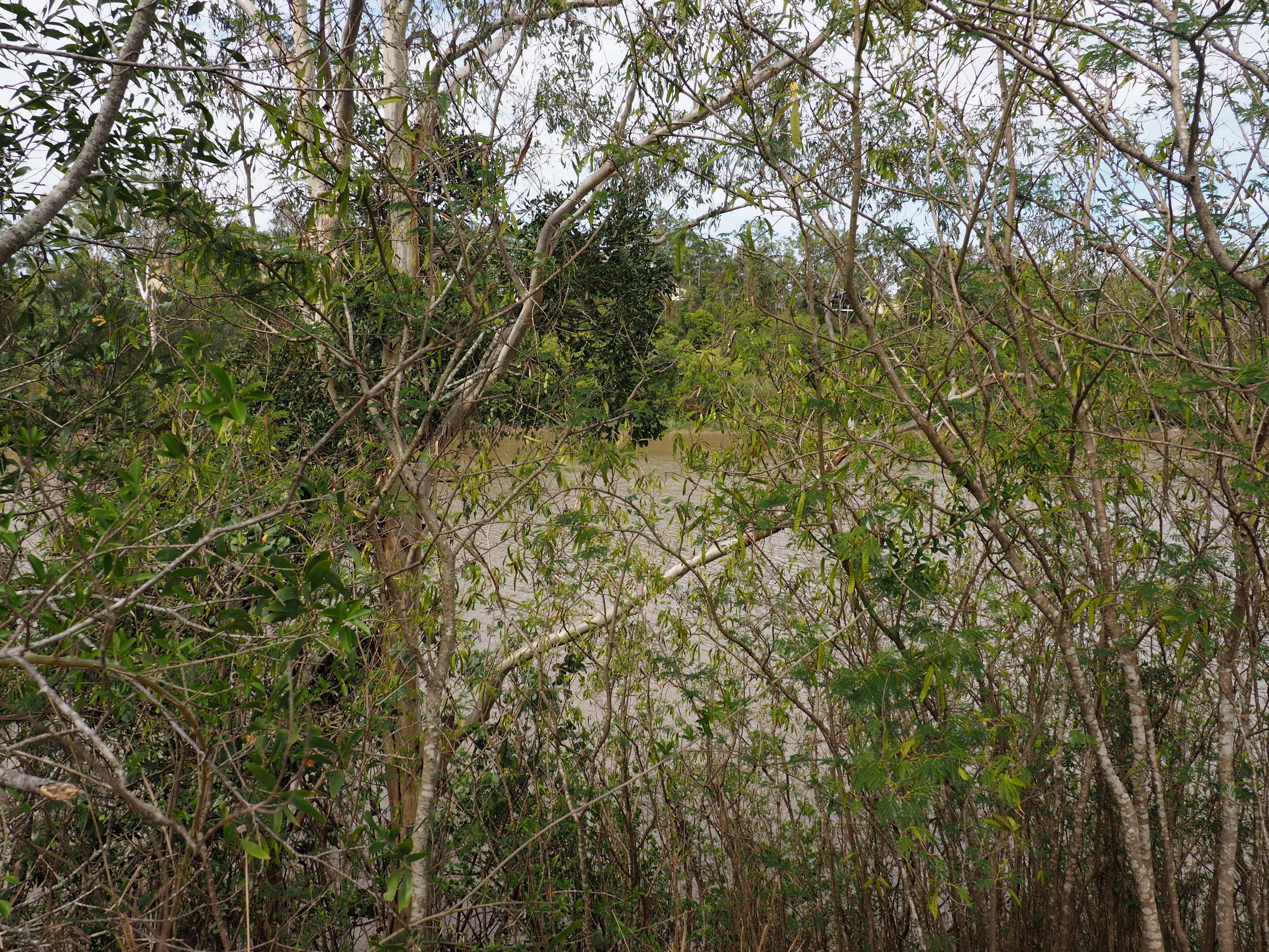 77D Kent Street, Maryborough QLD 4650, Maryborough - Thumbnail 4