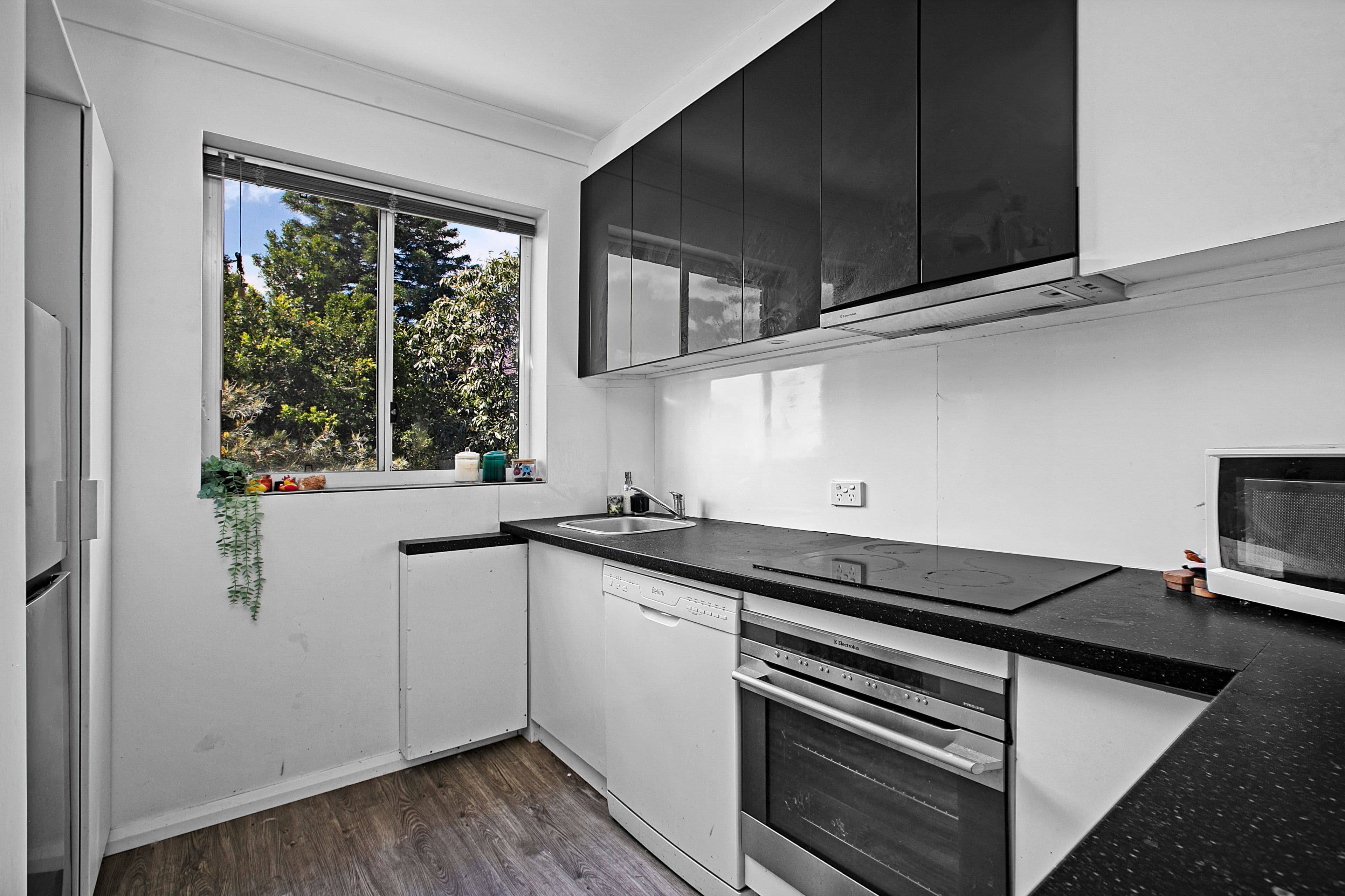 23 Jeffrey Street, Canterbury NSW 2193, Canterbury - Thumbnail 2