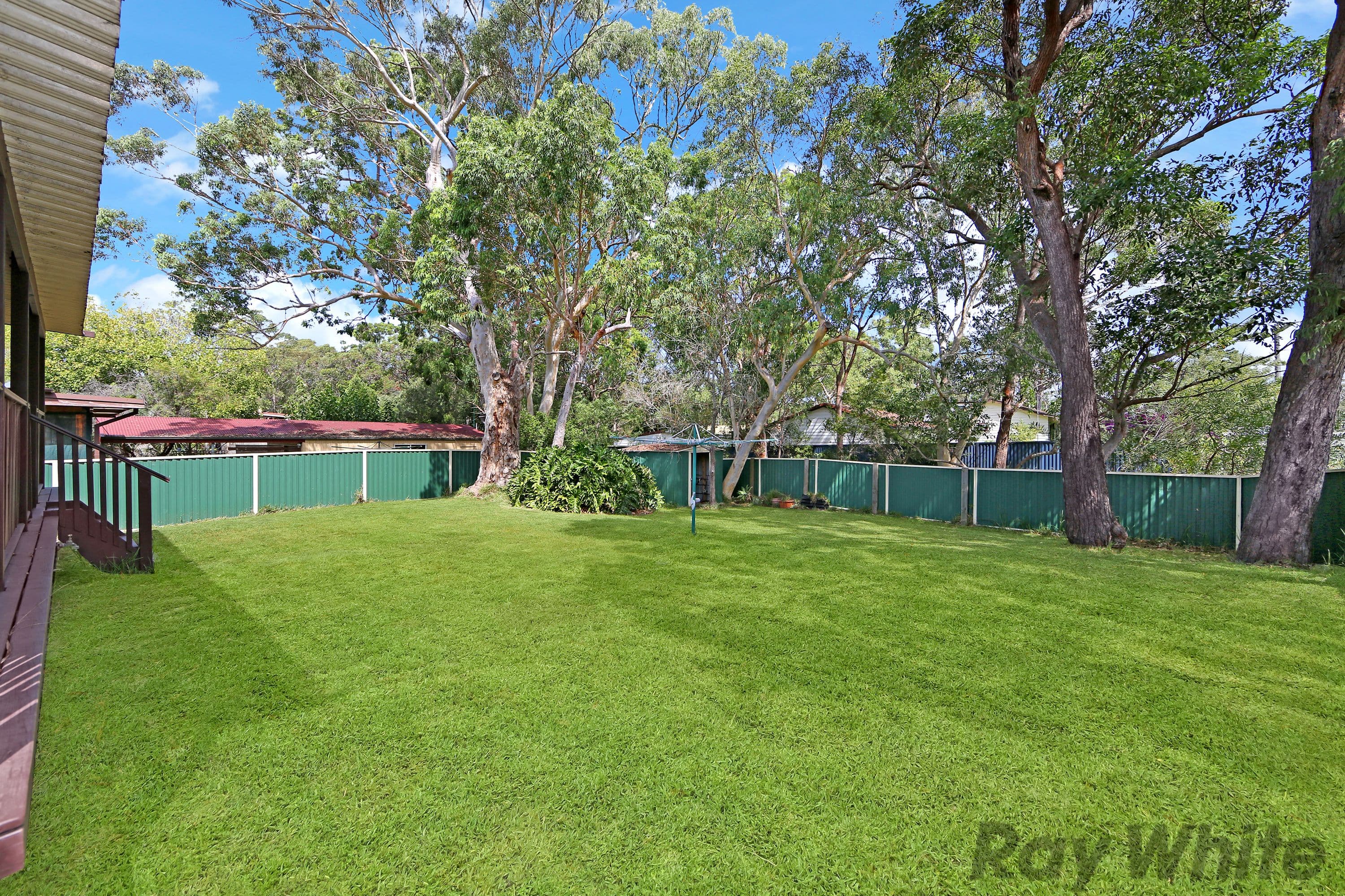 22 Somerville Close, Budgewoi - Thumbnail 3