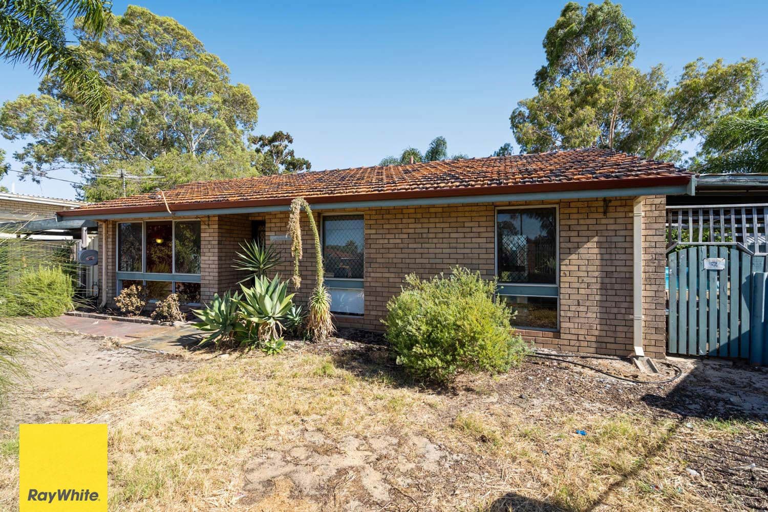 14 Stebbing Way, Girrawheen WA 6064, Girrawheen - Thumbnail 5