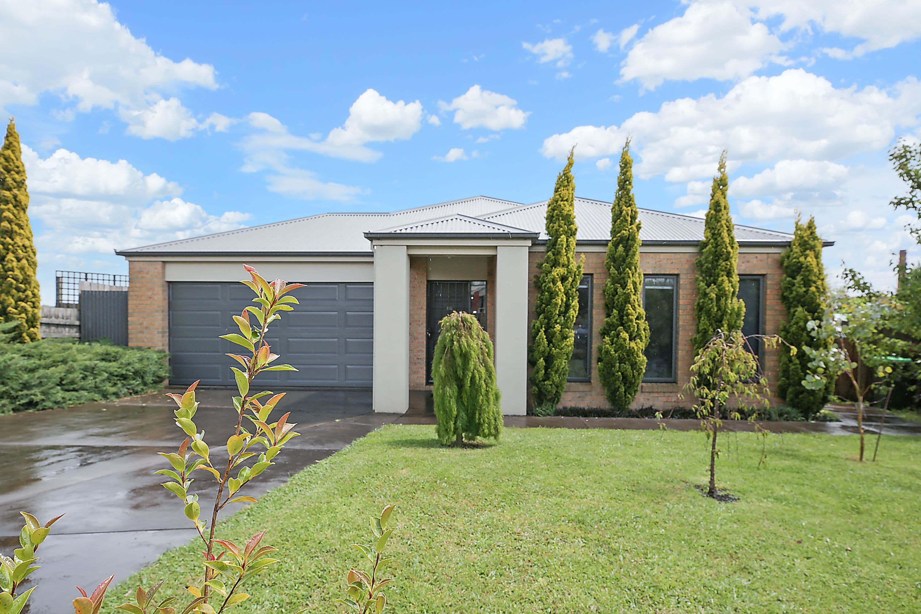 20 McAlpine Court, Camperdown VIC 3260, Camperdown - Thumbnail 2