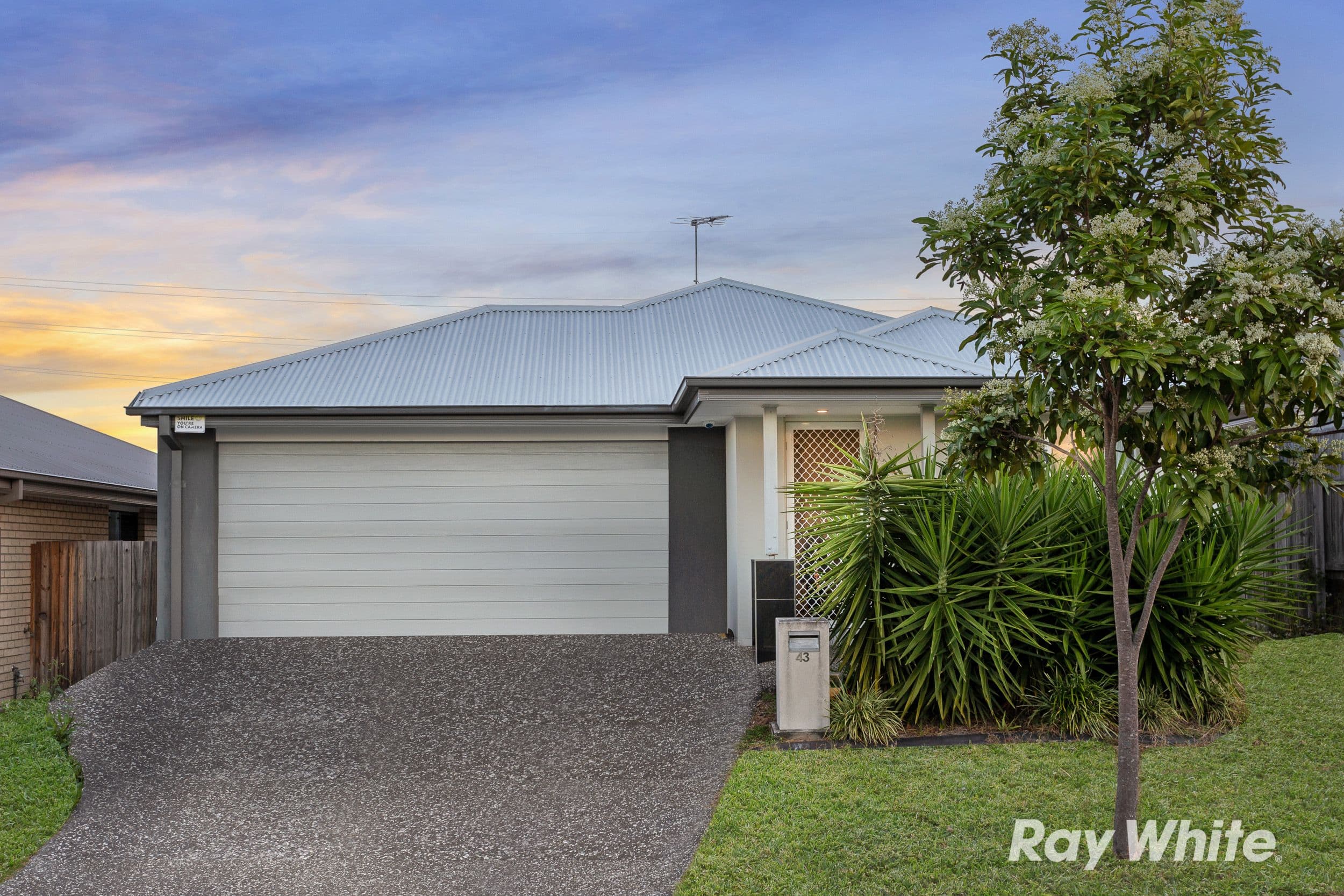 43 Huggins Avenue, Yarrabilba QLD 4207, Yarrabilba - Thumbnail 2