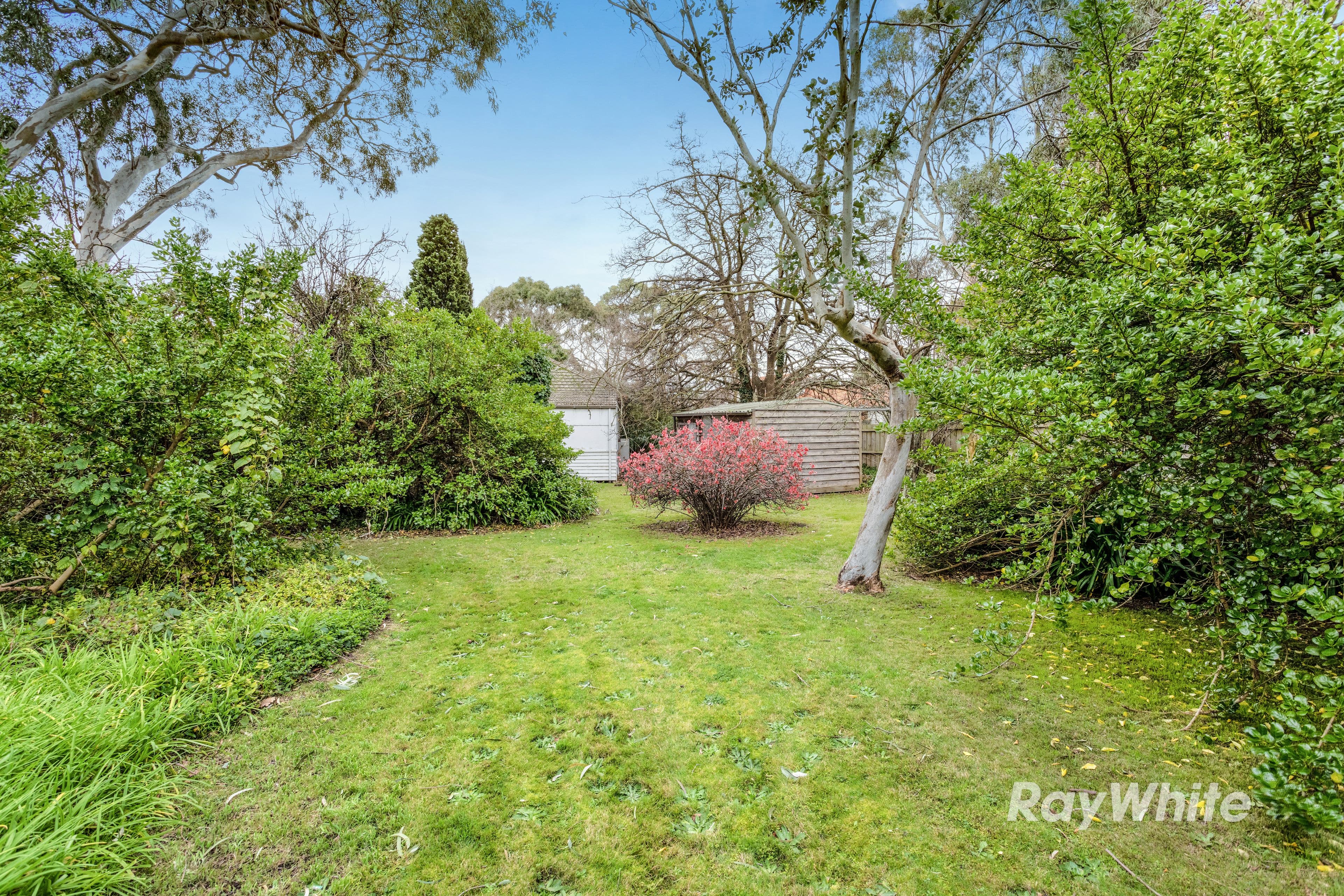 33 Omama Road, Murrumbeena VIC 3163, Murrumbeena - Thumbnail 5