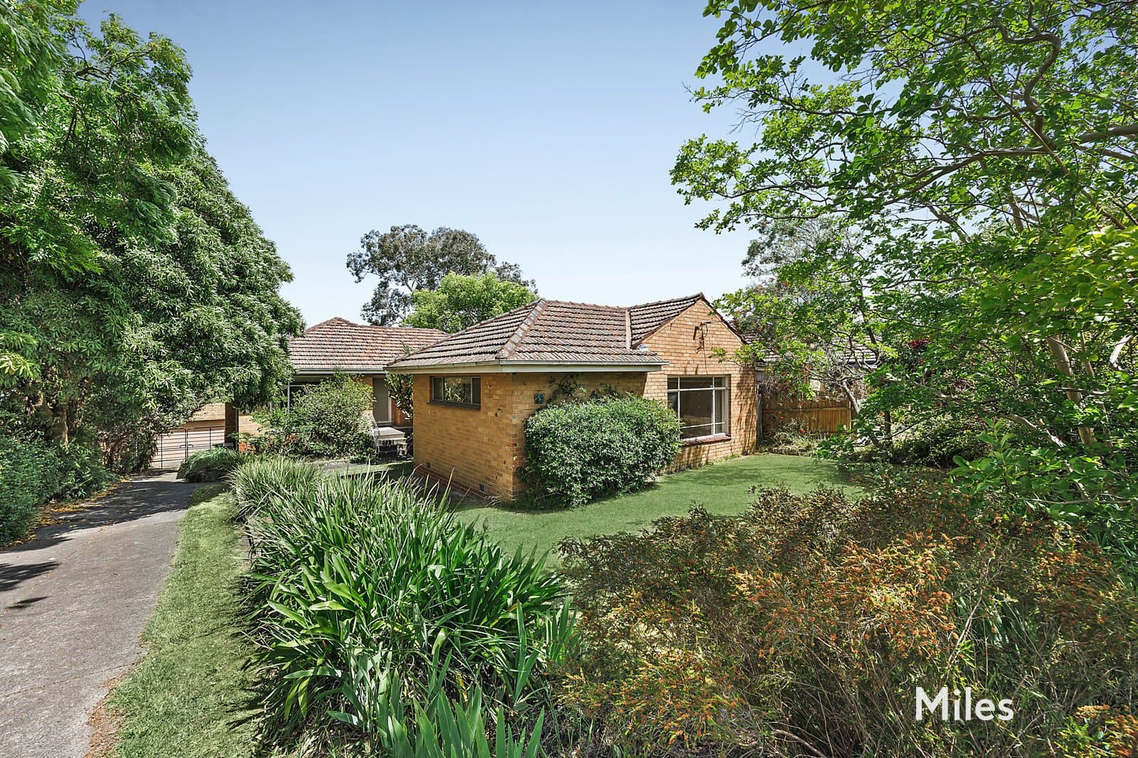 29 Charteris Drive, Ivanhoe East, Ivanhoe East - Thumbnail 3