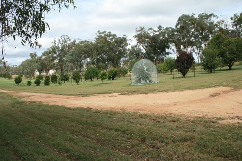 4 Tullochard East Road, INVERELL NSW 2360, Inverell - Thumbnail 6