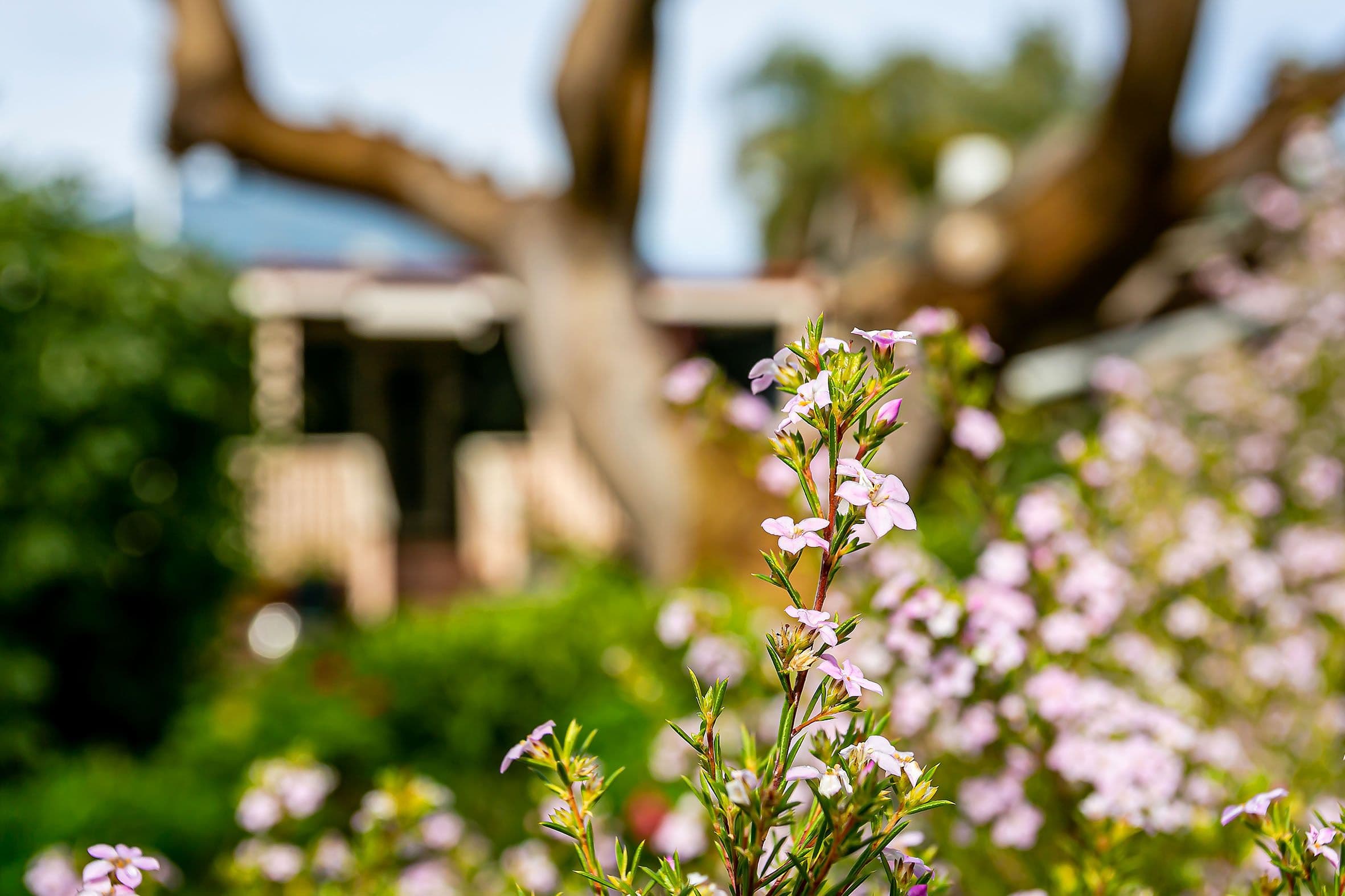 7 Koowara Terrace, Largs North SA 5016, Largs North - Thumbnail 2