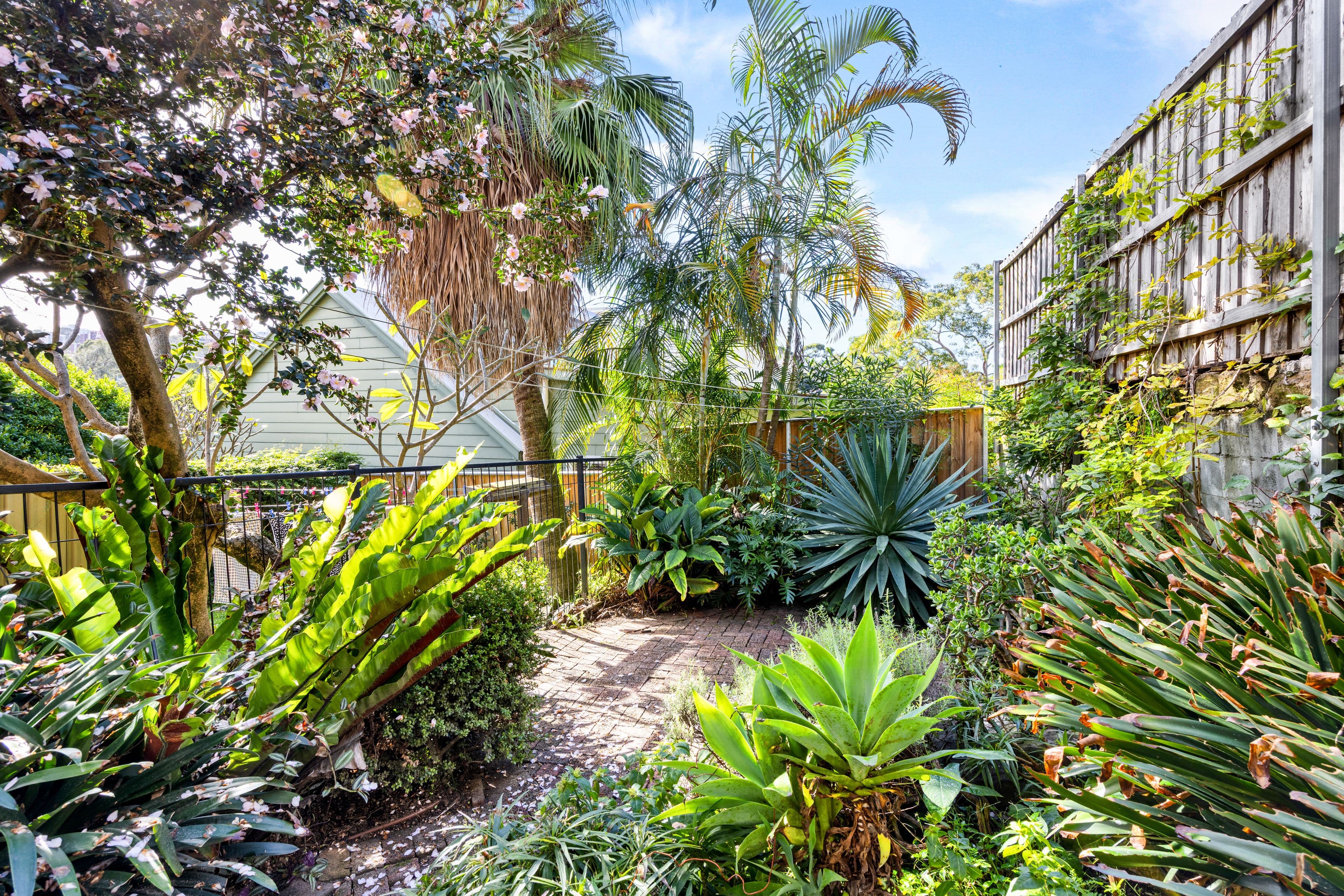 69 Neutral Street, North Sydney NSW 2060, North Sydney - Thumbnail 5