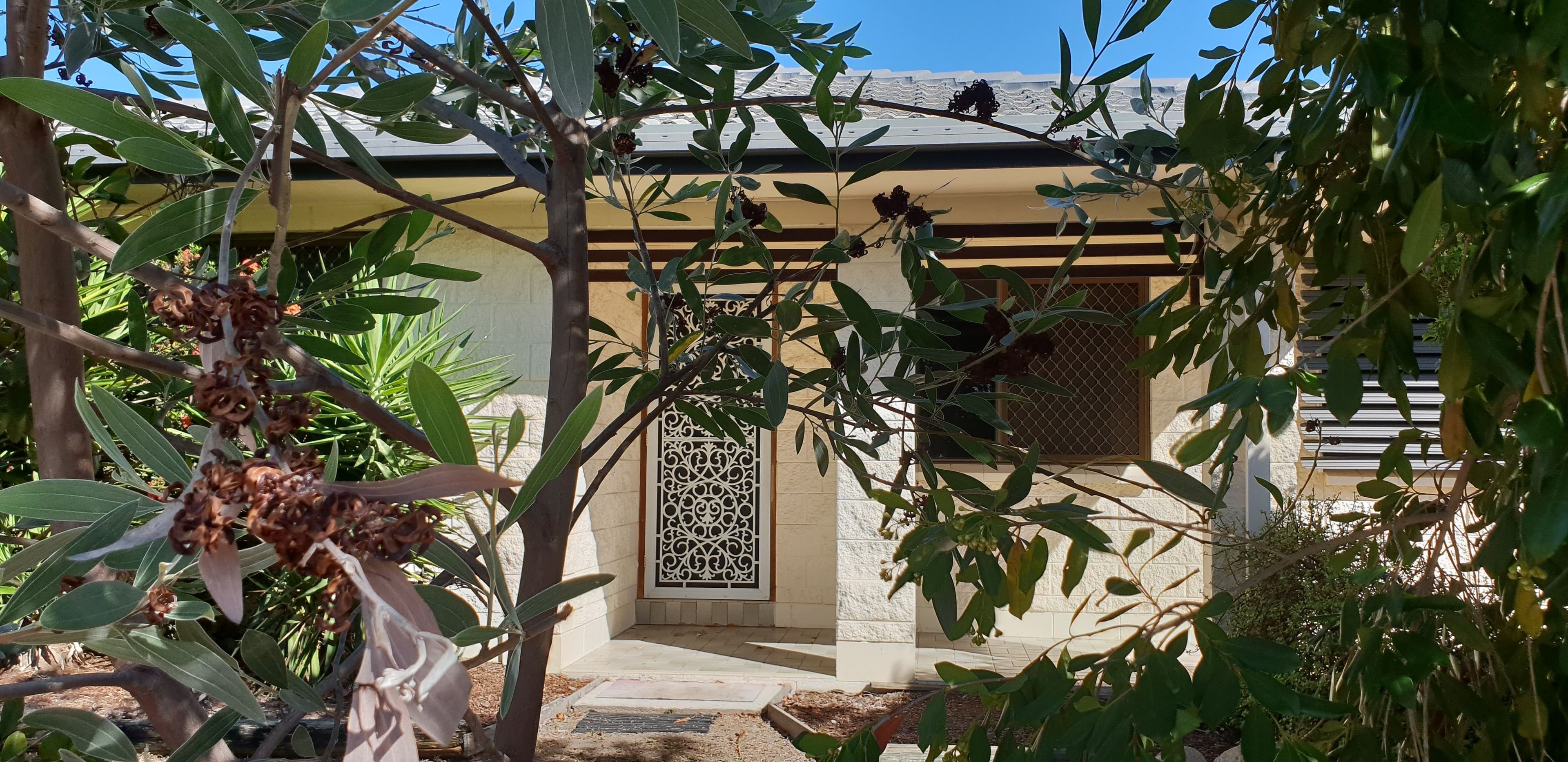 29 Cypress Drive, Annandale QLD 4814, Annandale - Image 1