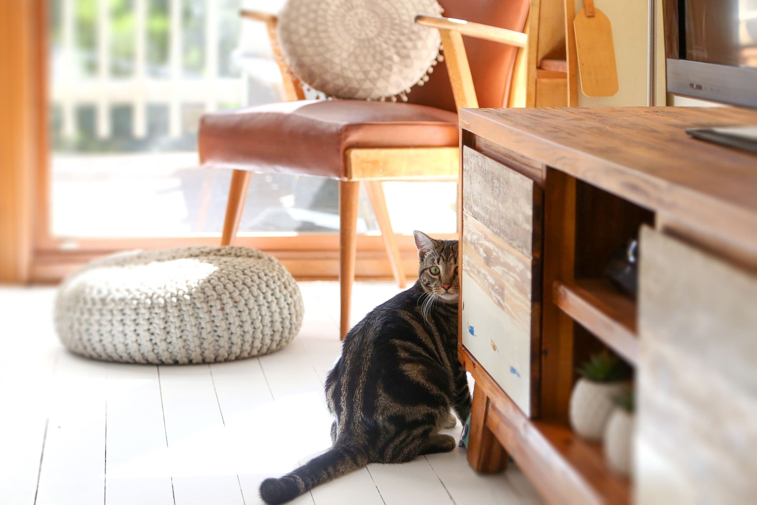75 High View Road, Pretty Beach - Thumbnail 4