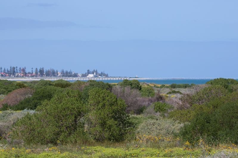 13a Anaconda Drive, North Haven SA 5018, North Haven - Image 1