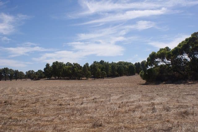 118 Acacia Road, YARDARINO WA 6525, Yardarino - Thumbnail 4