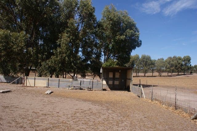 118 Acacia Road, YARDARINO WA 6525, Yardarino - Thumbnail 5