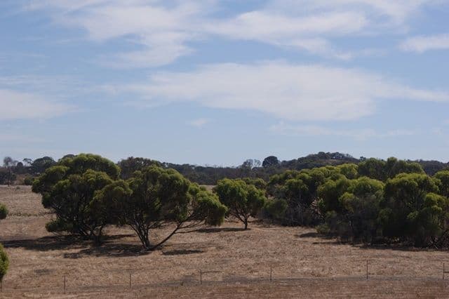 118 Acacia Road, YARDARINO WA 6525, Yardarino - Thumbnail 6