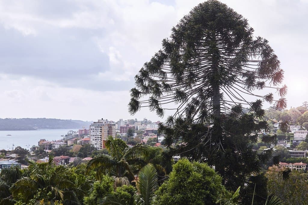 6/313A Edgecliff Road, Woollahra - Thumbnail 6